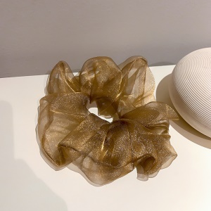 Attache cheveux avec brillants
