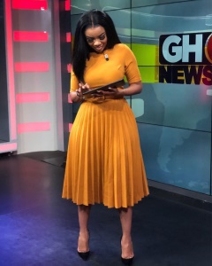 Robe manches moyennes avec ceinture bas plissé