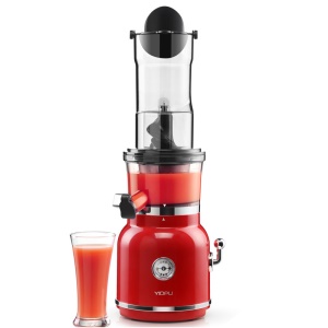 Presse-agrumes domestique et extracteur de jus grande capacité