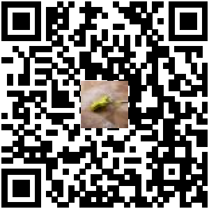 Code QR du produit