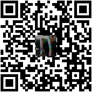 Code QR du produit