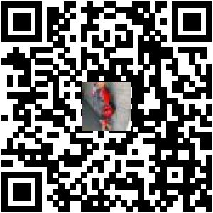 Code QR du produit