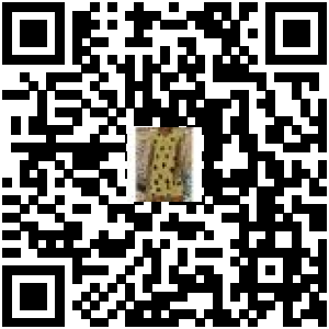 Code QR du produit