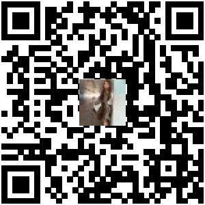 Code QR du produit