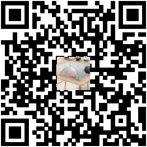 Code QR du produit