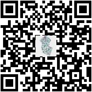 Code QR du produit