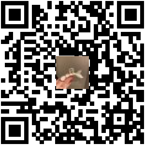 Code QR du produit