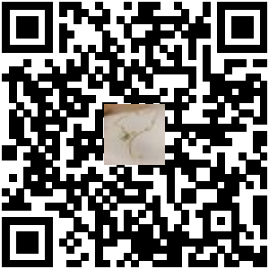 Code QR du produit