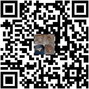 Code QR du produit