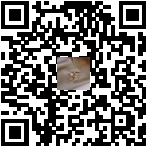 Code QR du produit