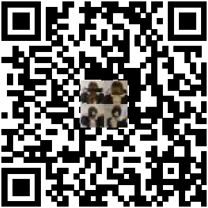 Code QR du produit