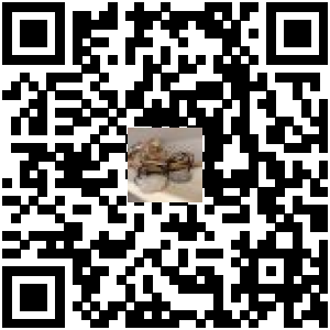 Code QR du produit