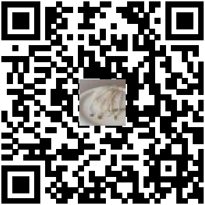Code QR du produit