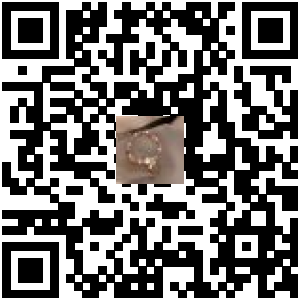 Code QR du produit