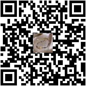 Code QR du produit