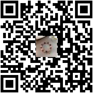 Code QR du produit