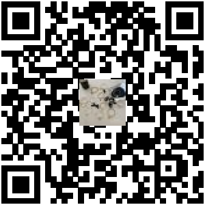 Code QR du produit