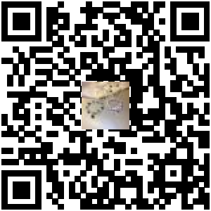 Code QR du produit