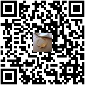 Code QR du produit