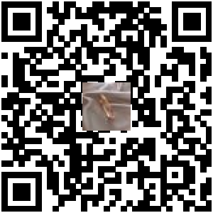 Code QR du produit