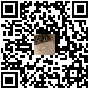 Code QR du produit