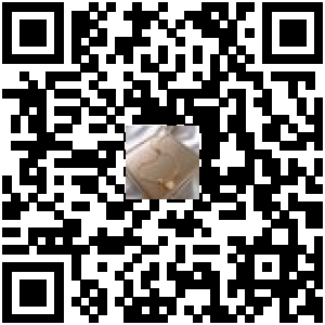 Code QR du produit