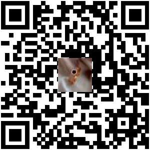 Code QR du produit