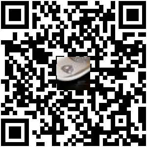 Code QR du produit