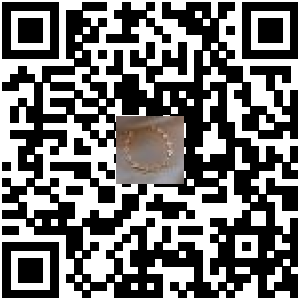 Code QR du produit