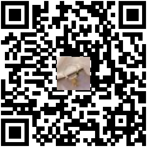 Code QR du produit