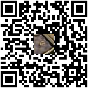 Code QR du produit