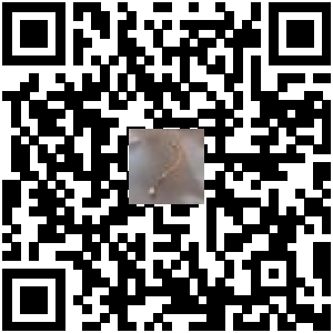 Code QR du produit