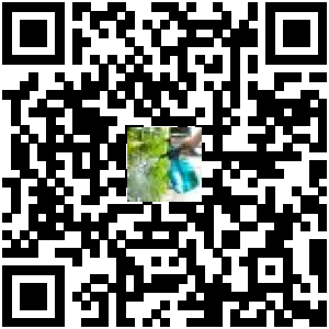 Code QR du produit