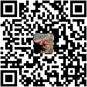 Code QR du produit
