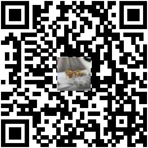 Code QR du produit