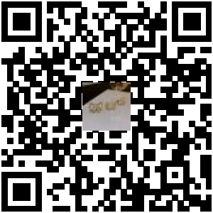 Code QR du produit