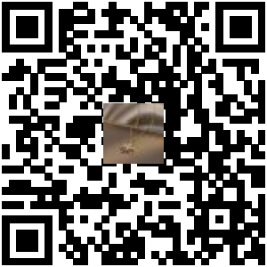 Code QR du produit