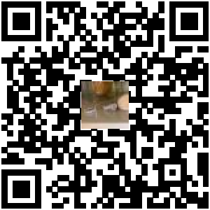 Code QR du produit