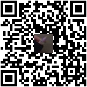 Code QR du produit