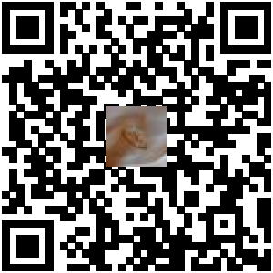 Code QR du produit