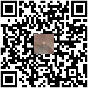 Code QR du produit