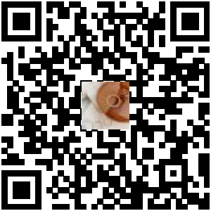 Code QR du produit
