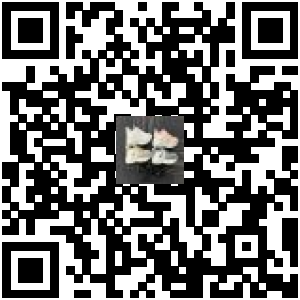 Code QR du produit