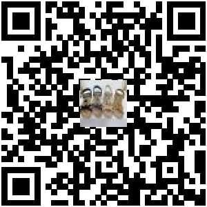 Code QR du produit