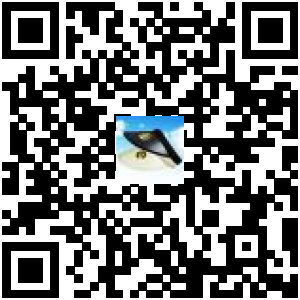 Code QR du produit