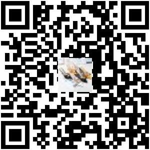 Code QR du produit