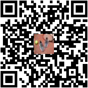 Code QR du produit