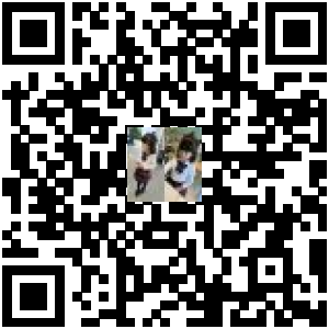 Code QR du produit