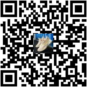 Code QR du produit