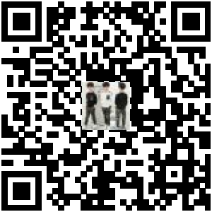 Code QR du produit